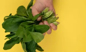 Jak przygotować szczaw do zupy, by uniknąć gorzkiego smaku?