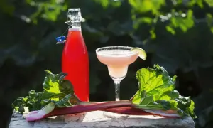 Butelka z nalewką rabarbarową, kieliszek drinka i świeże łodygi rabarbaru na drewnianym tle.