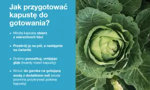 Zbliżenie na świeżą, zieloną główkę kapusty z instrukcjami przygotowania.