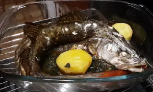 Pieczony sandacz z ziemniakami i marchewką w naczyniu żaroodpornym.