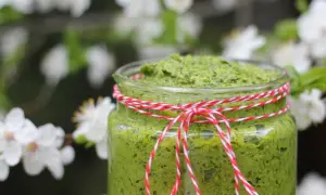 Słoik zielonego pesto z czosnku niedźwiedziego, przewiązany sznurkiem, na tle kwitnących drzew.