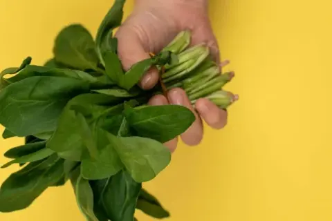 Jak przygotować szczaw do zupy, by uniknąć gorzkiego smaku?