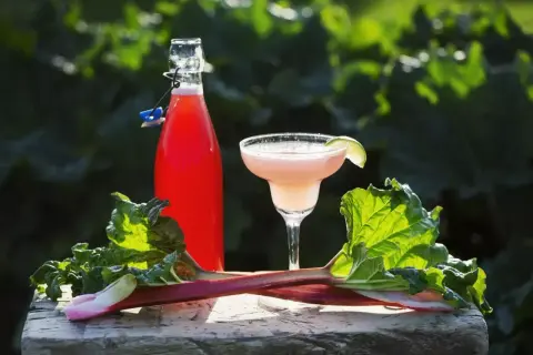 Butelka z nalewką rabarbarową, kieliszek drinka i świeże łodygi rabarbaru na drewnianym tle.