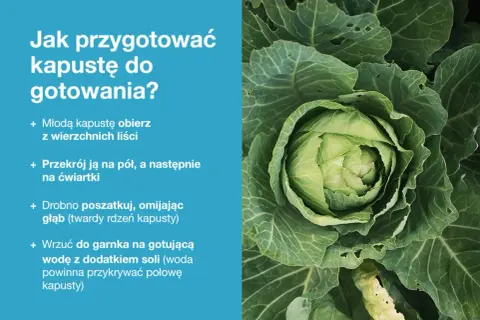 Zbliżenie na świeżą, zieloną główkę kapusty z instrukcjami przygotowania.