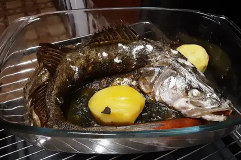 Pieczony sandacz z ziemniakami i marchewką w naczyniu żaroodpornym.