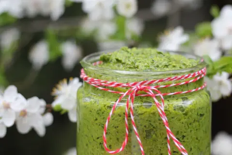 Słoik zielonego pesto z czosnku niedźwiedziego, przewiązany sznurkiem, na tle kwitnących drzew.