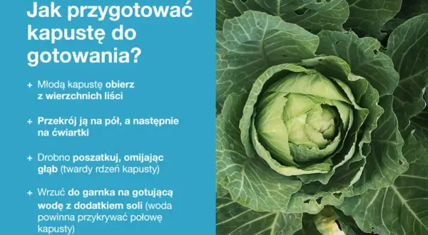 Zbliżenie na świeżą, zieloną główkę kapusty z instrukcjami przygotowania.