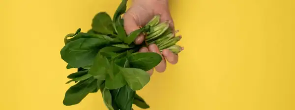 Jak przygotować szczaw do zupy, by uniknąć gorzkiego smaku?