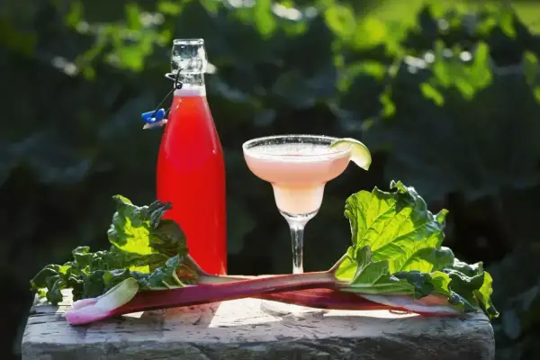 Butelka z nalewką rabarbarową, kieliszek drinka i świeże łodygi rabarbaru na drewnianym tle.