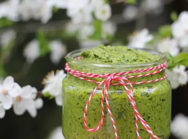 Słoik zielonego pesto z czosnku niedźwiedziego, przewiązany sznurkiem, na tle kwitnących drzew.